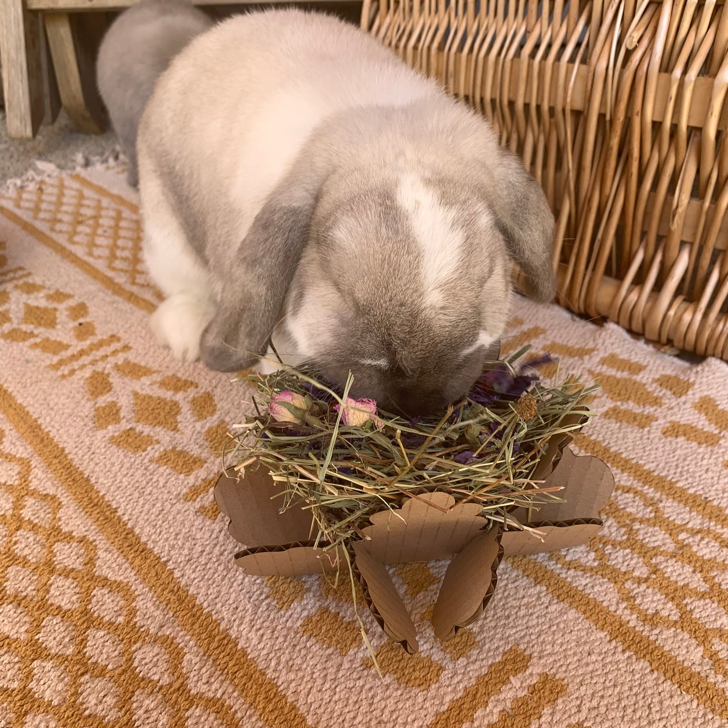 Flowery Paw-Tea