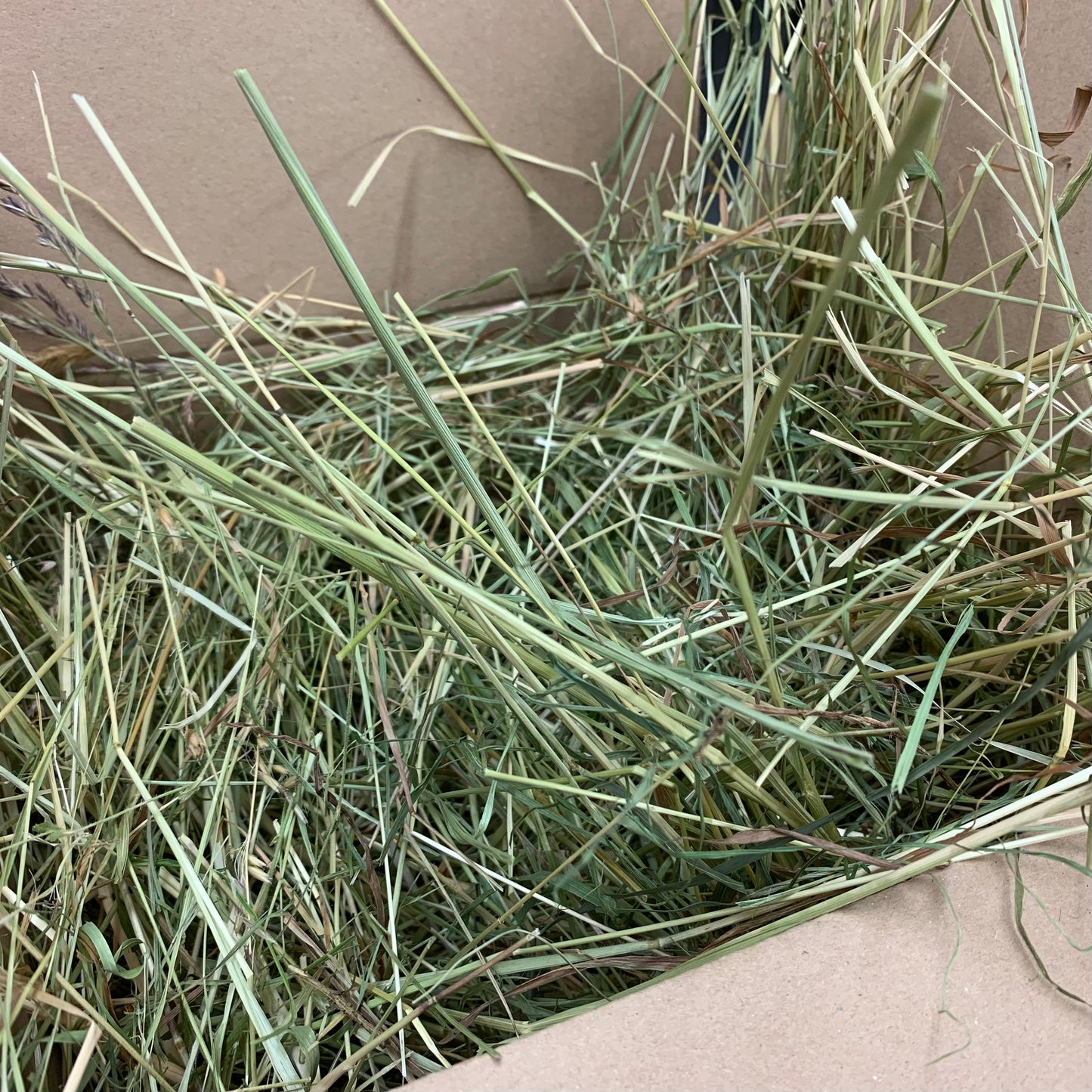 Foin de Prairie Français (0,5Kg, 1,5Kg ou 5Kg)