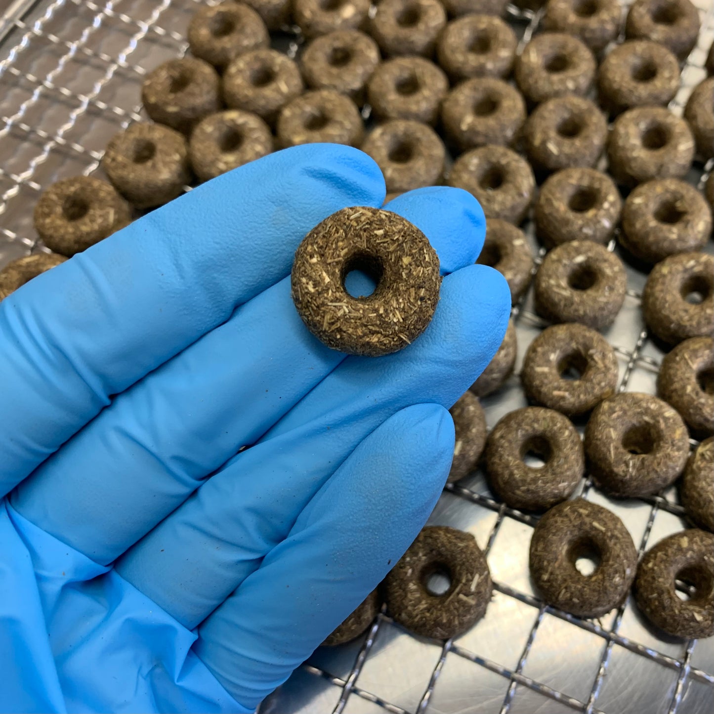 Les Mini-Donuts (~50 friandises / Cup)