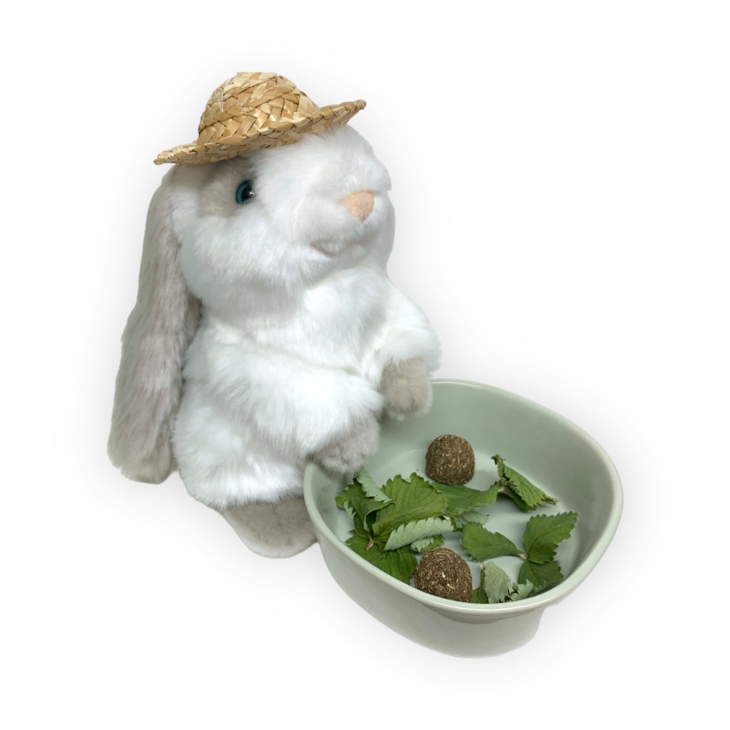 Cup (Cream or Green water)