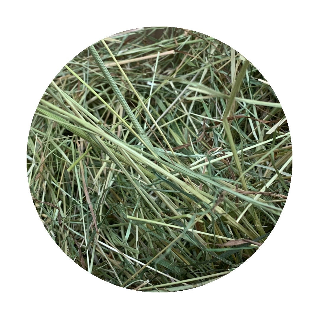 Foin de Prairie Français (0,5Kg, 1,5Kg ou 5Kg)