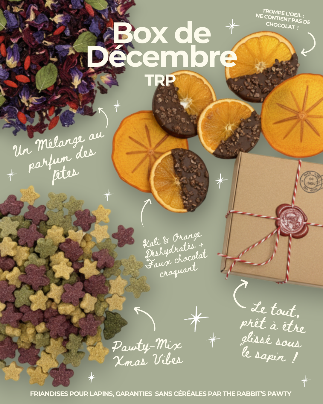 Box de Noël pour Lapin (Prête à être glissée sous le sapin) 🎁🎅