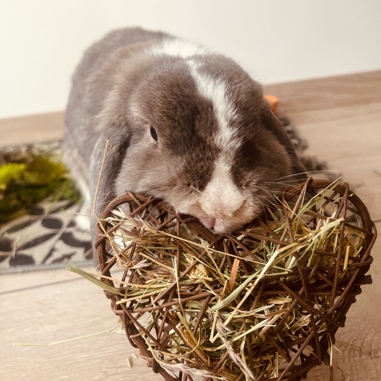 Coeur en rotin fourré de Foin de Crau BIO