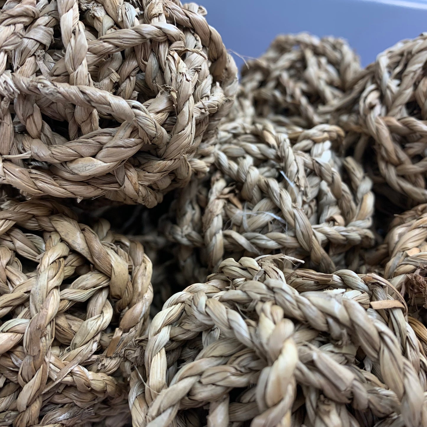 Balle en Jonc de Mer