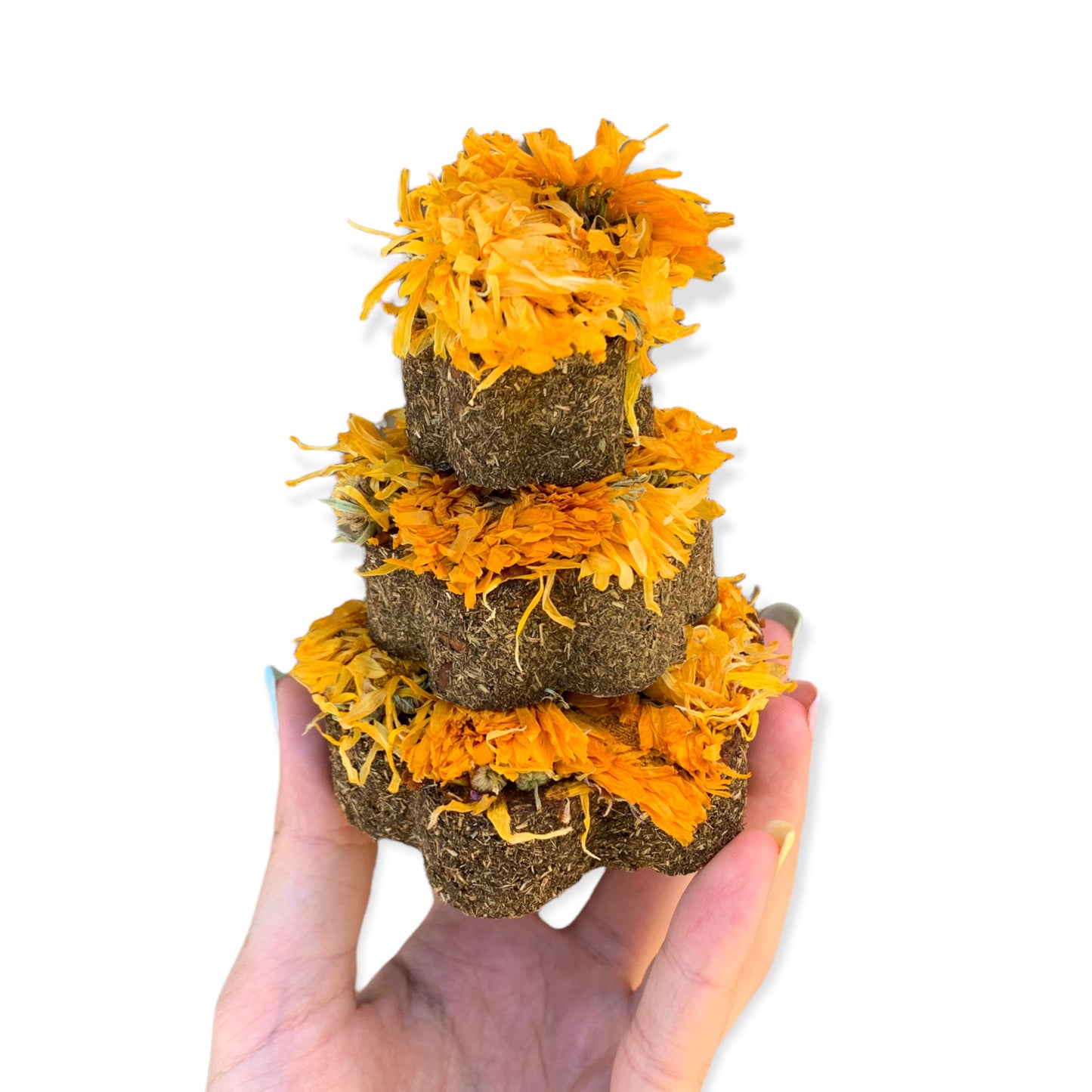 Gâteau d'anniversaire : Calendula & Camomille