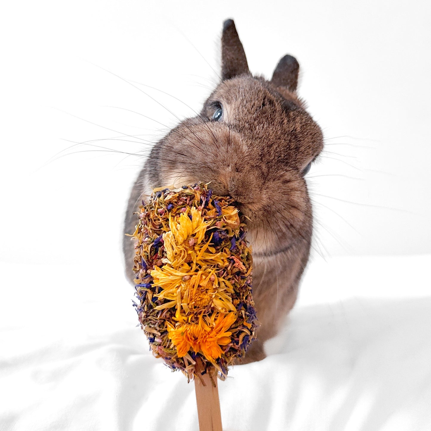 Glace florale (Floral-Pop)