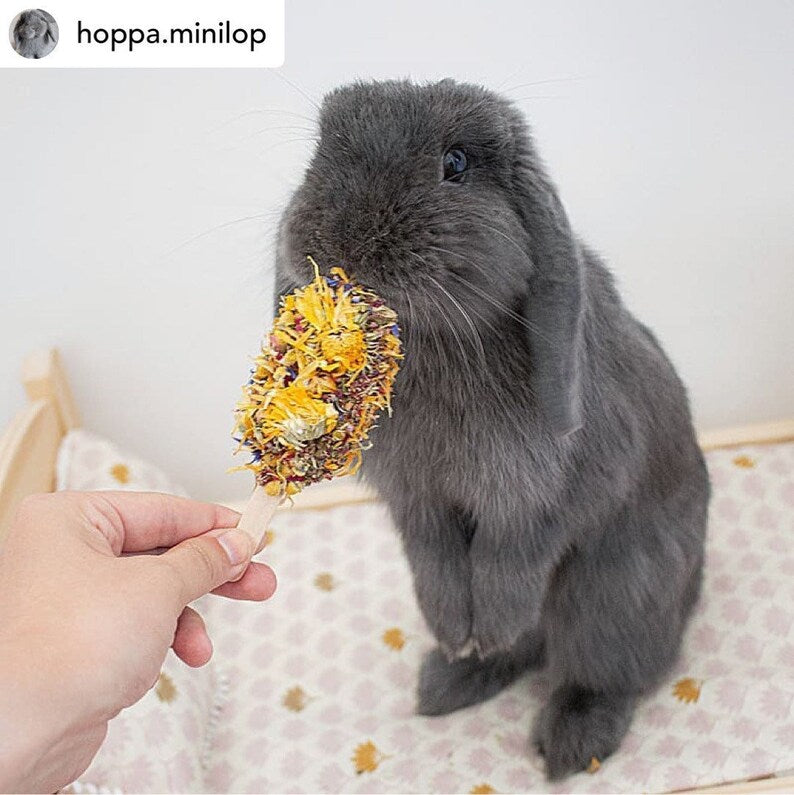 Glace florale (Floral-Pop)