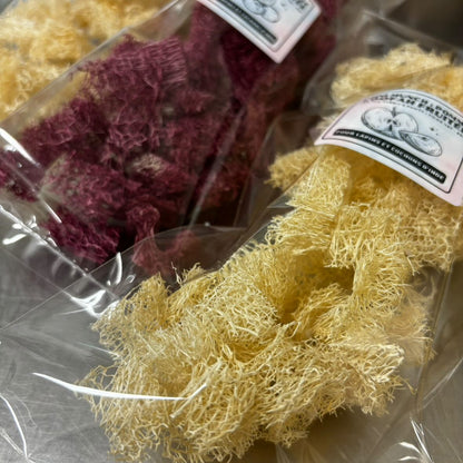 Loofah fruitée : Mini Munch's