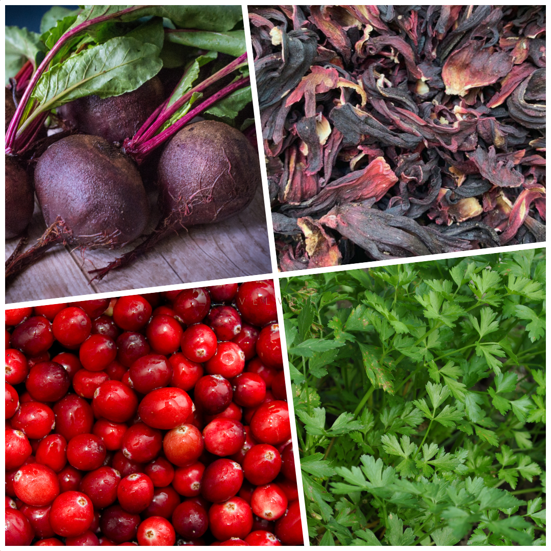 Papillon de Marie (Friandise à suspendre)