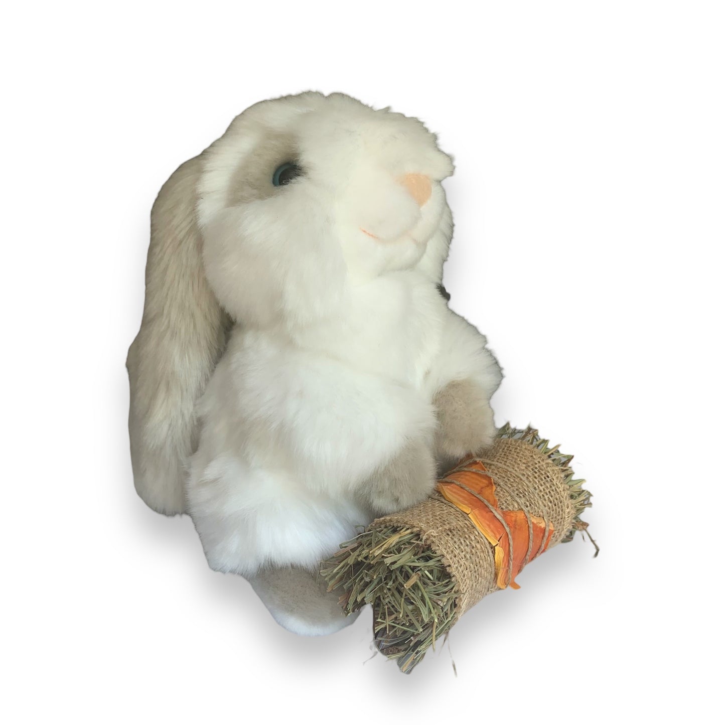 Rouleau Gourmand (Foin de Crau bio, Papaye et Jute)