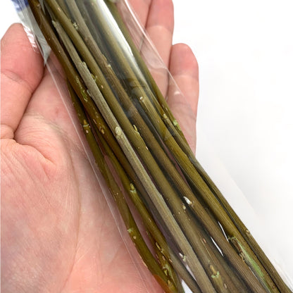 Bâtons d'Osier du Jardinier (Sachet de 15)