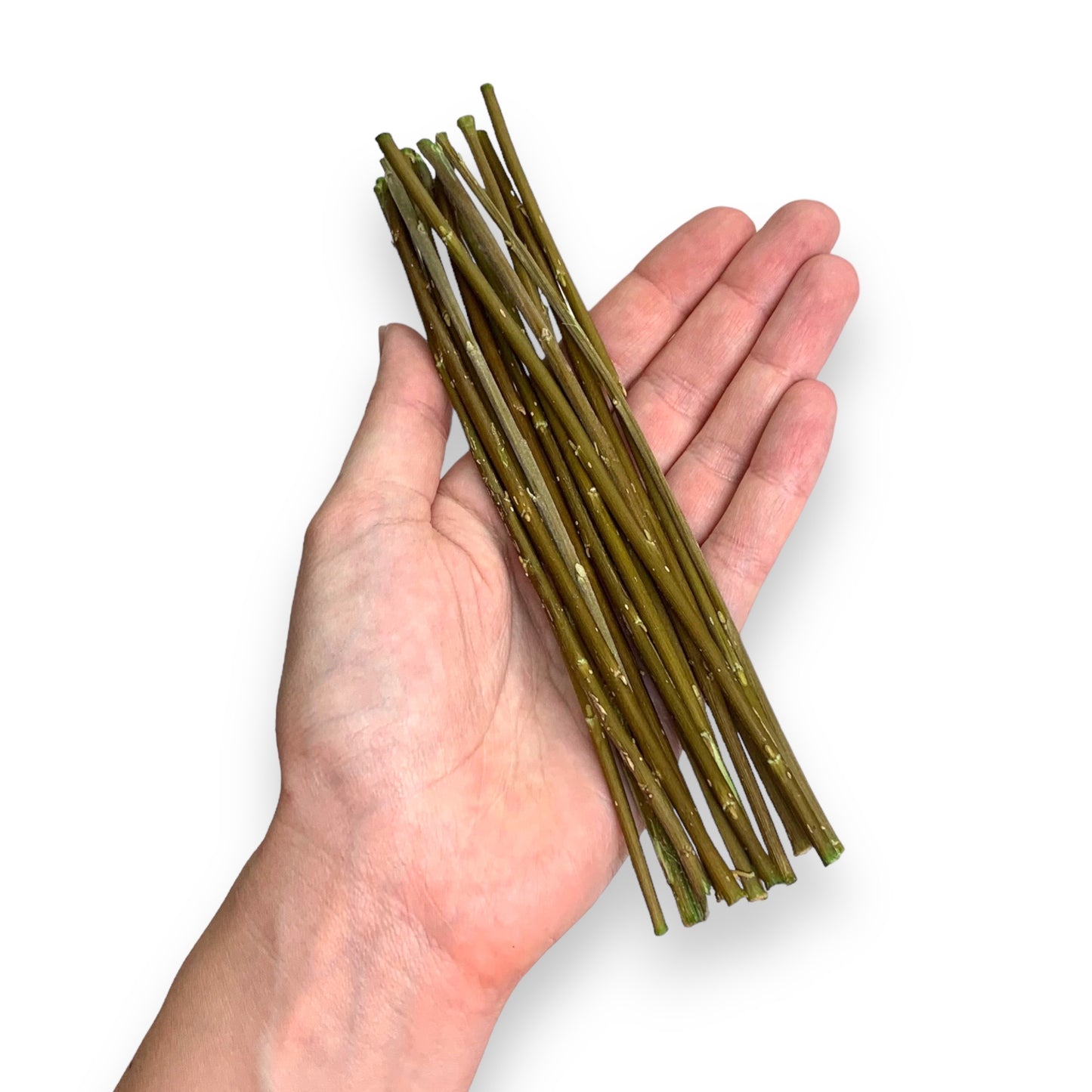 Bâtons d'Osier du Jardinier (Sachet de 15)