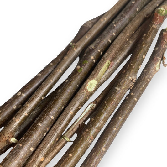 Bâtons de Noisetier Frais du Jardinier (Paquet de 50gr)