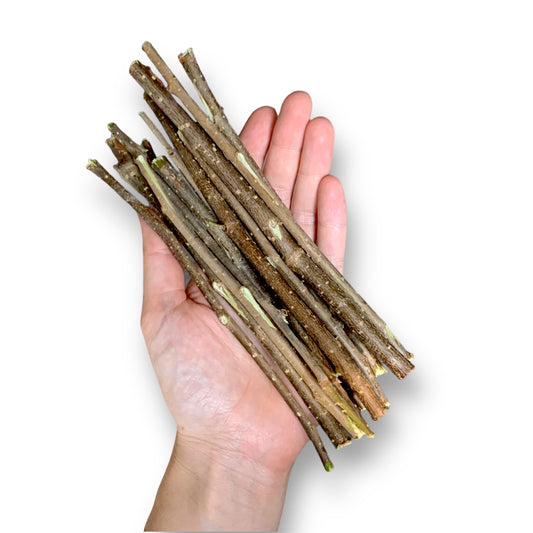 Bâtons de Noisetier Frais du Jardinier (Paquet de 50gr)