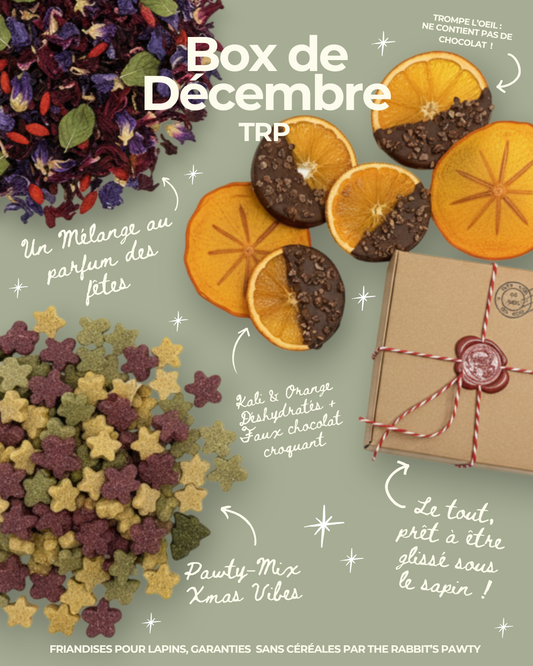 Box de Noël pour Lapin (Prête à être glissée sous le sapin) 🎁🎅