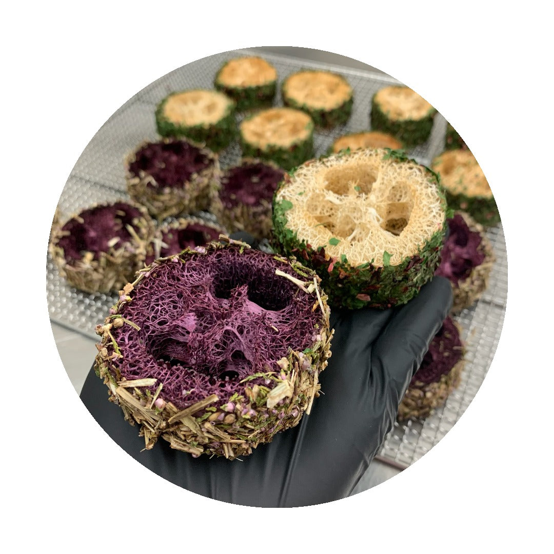 Spooky Crunchy Loofah's - Pomme & Myrtille #Halloween