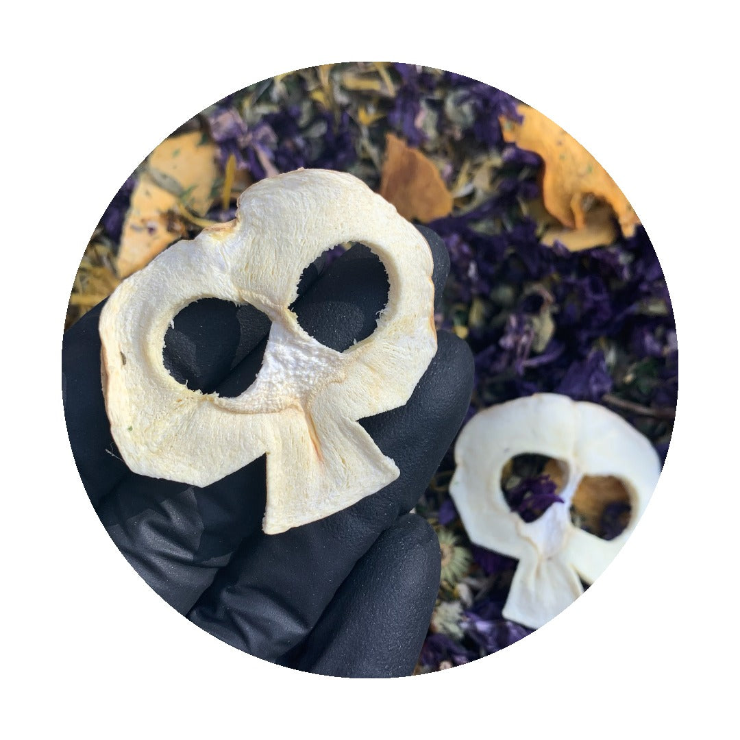 Paw-Tea Fall vibes #Halloween