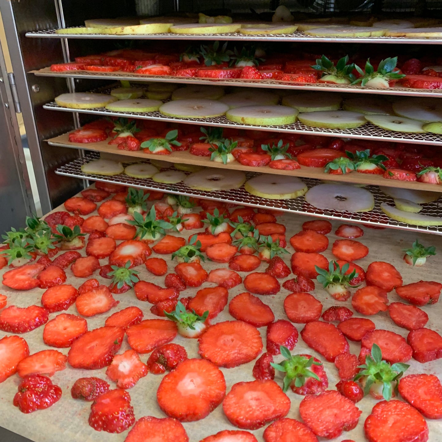 Fraise (Déshydratée en saison ou Lyophilisée hors saison)