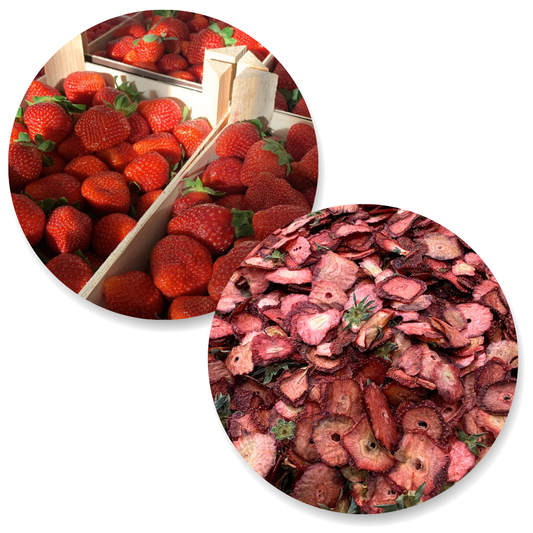 Fraise (Déshydratée en saison ou Lyophilisée hors saison)