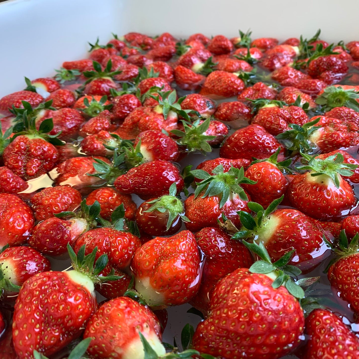Fraise (Déshydratée en saison ou Lyophilisée hors saison)
