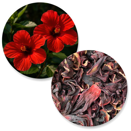 Hibiscus BIO (Infusion possible)