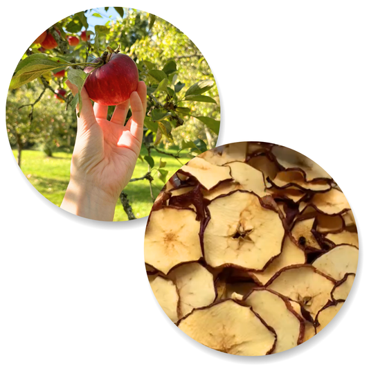 Pomme déshydratée